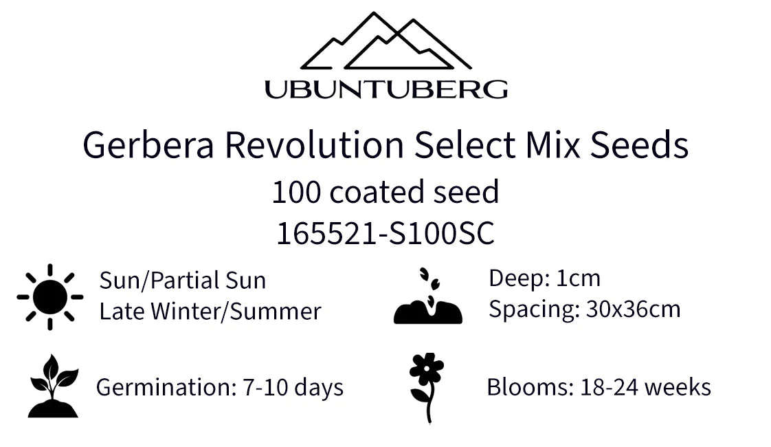 Gerbera Revolution Select Mix Seeds