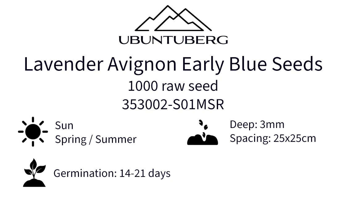 Lavender Avignon Early Blue Seeds