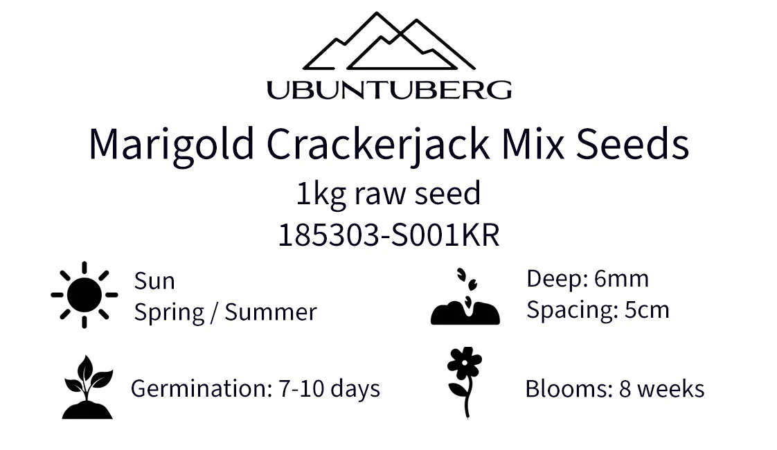 Marigold Crackerjack Mix Seeds