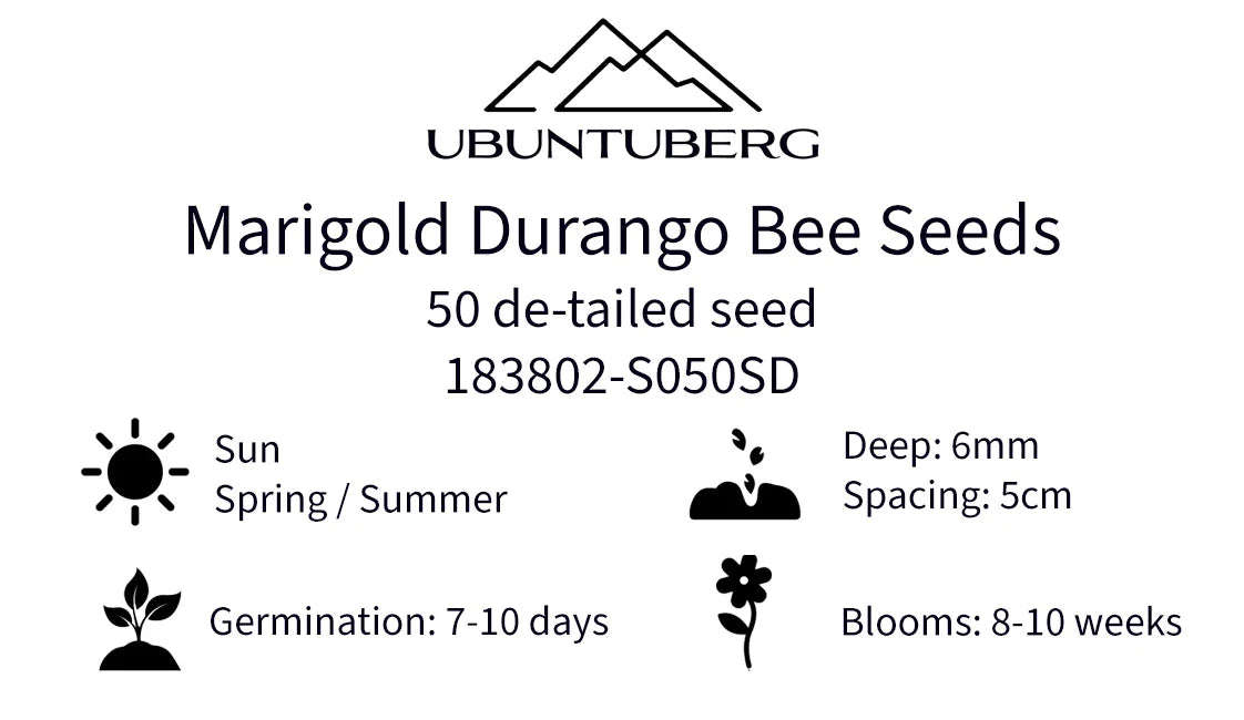Marigold Durango Bee Seeds