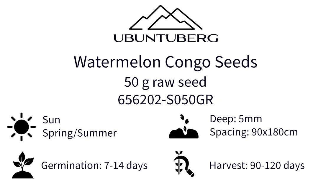 Watermelon Congo Seeds