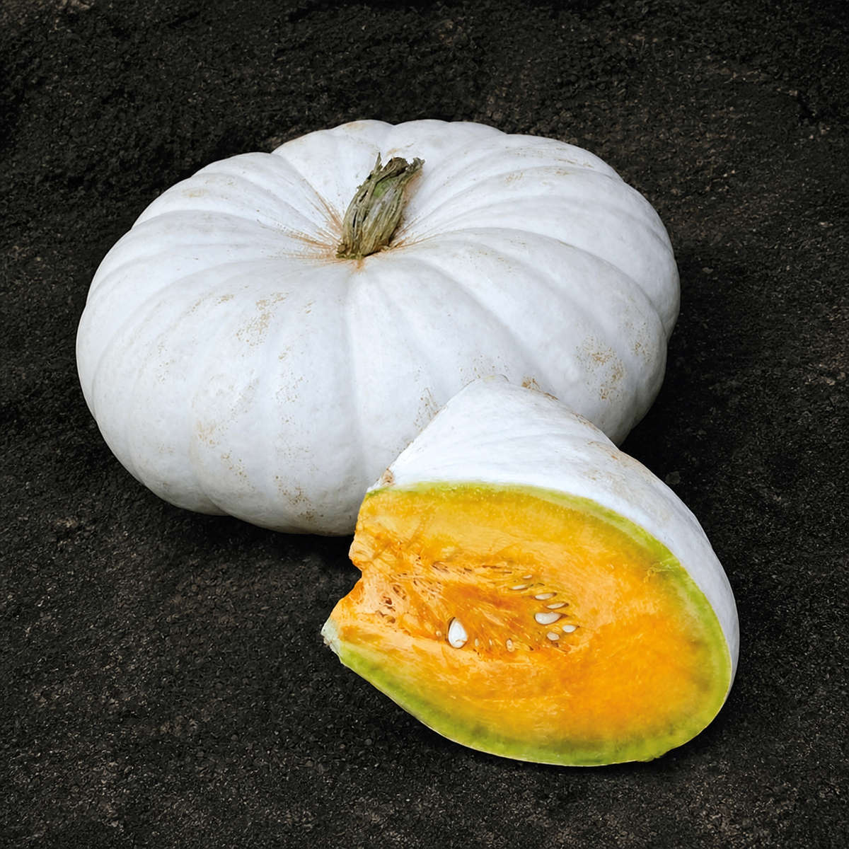 Pumpkin Flat White Boer A Seeds