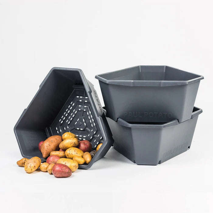 PAUL POTATO (Stackable 3 Level Grow Pot) + Incl Seed Potatoes