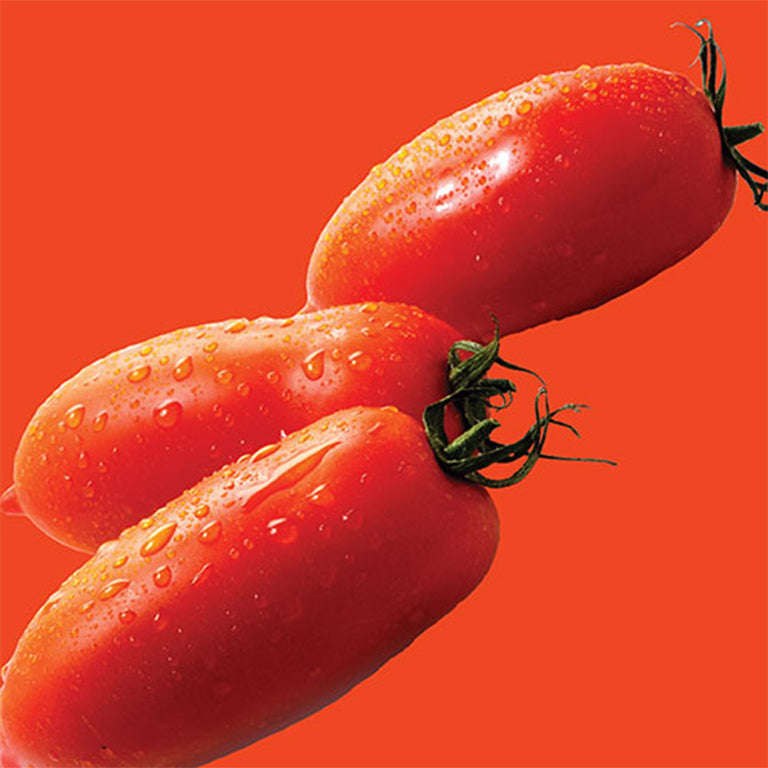 Tomato San Marzano Seeds