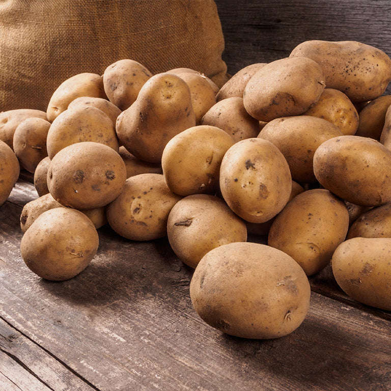 Foxy Seed Potatoes, 10 per bag (Buy 1 Get 1 Free)