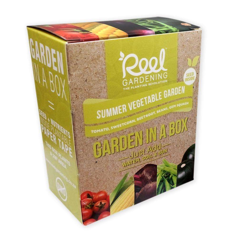 Summer Vegetable Garden In a Box