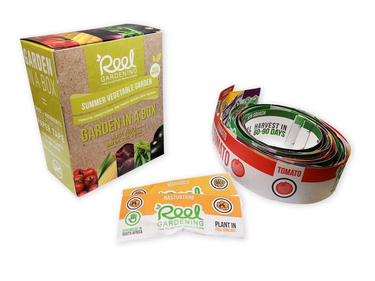 Summer Vegetable Garden In a Box