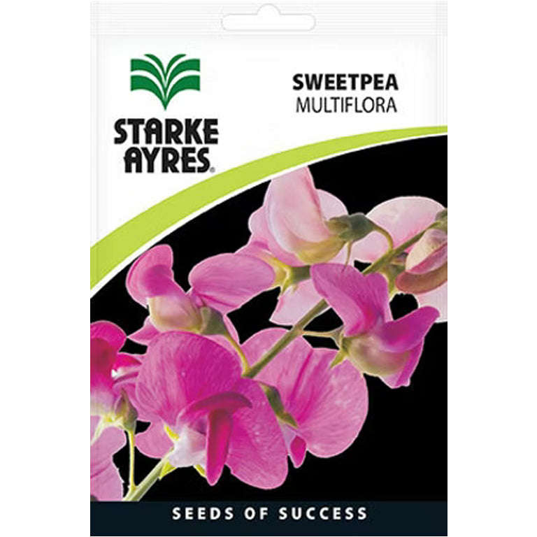 Sweetpea Multiflora Flower Seeds