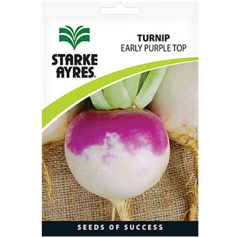 Turnip Early Purple Top Seeds