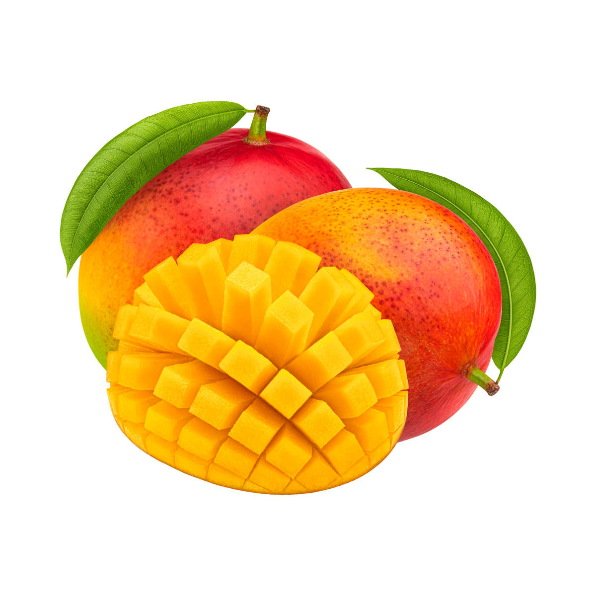 Mango v1 Concentrate (FRA)