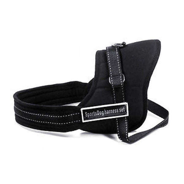Pet - Dog Harness - Sports Large