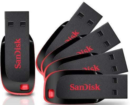 Sandisk Cruzer USB 16GB Flash Drive