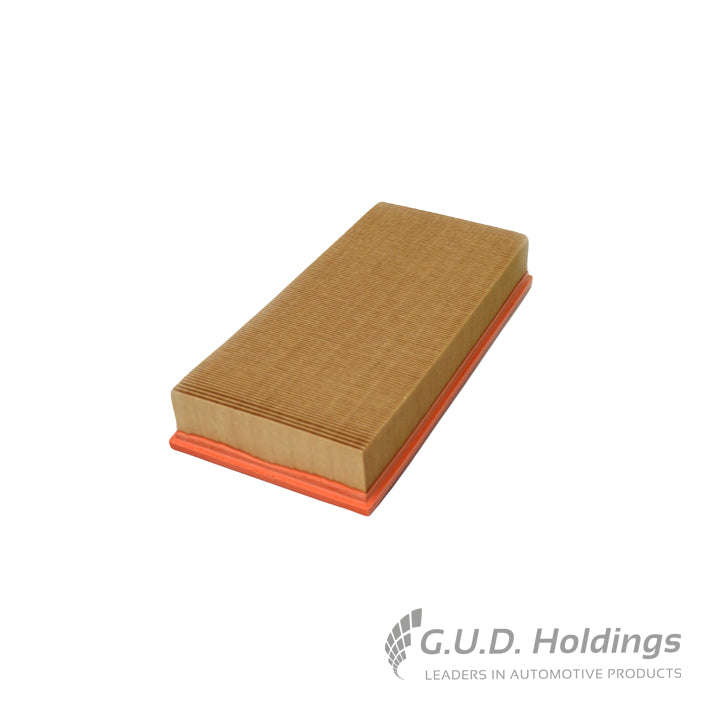 GUD PANEL AIR Filter For TATA XENON 2.2 DIESEL (DW12DD 8V 104KW) 09-