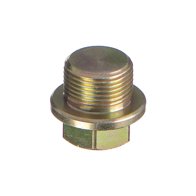 Sump Plug 22Mm X 1.5 - Aa787