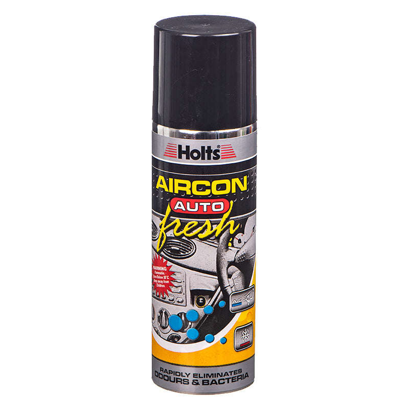 Aircon Spray (Holts)