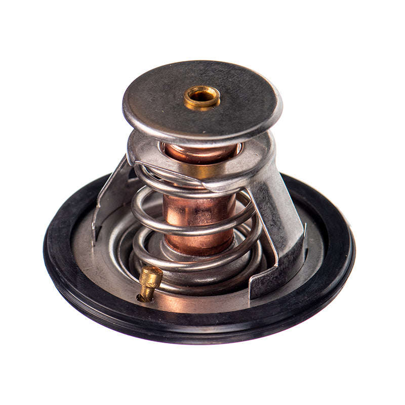 Thermostat - Tb5482G (Doe)