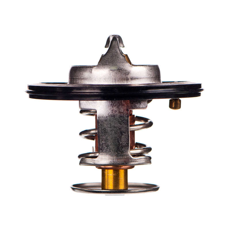Thermostat - Tb5482G (Doe)