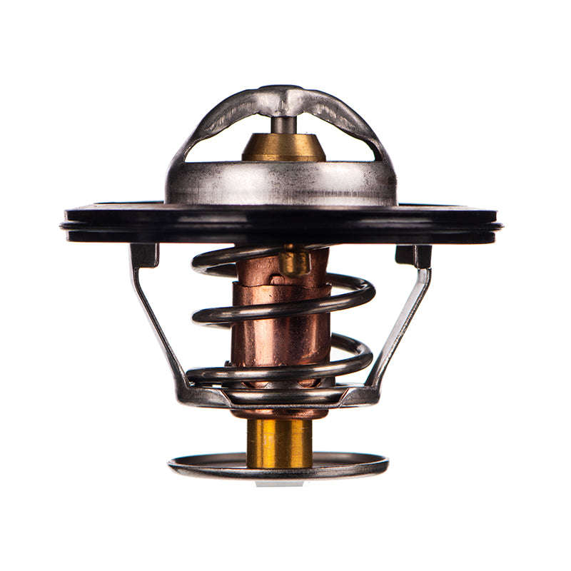 Thermostat - Tb5482G (Doe)