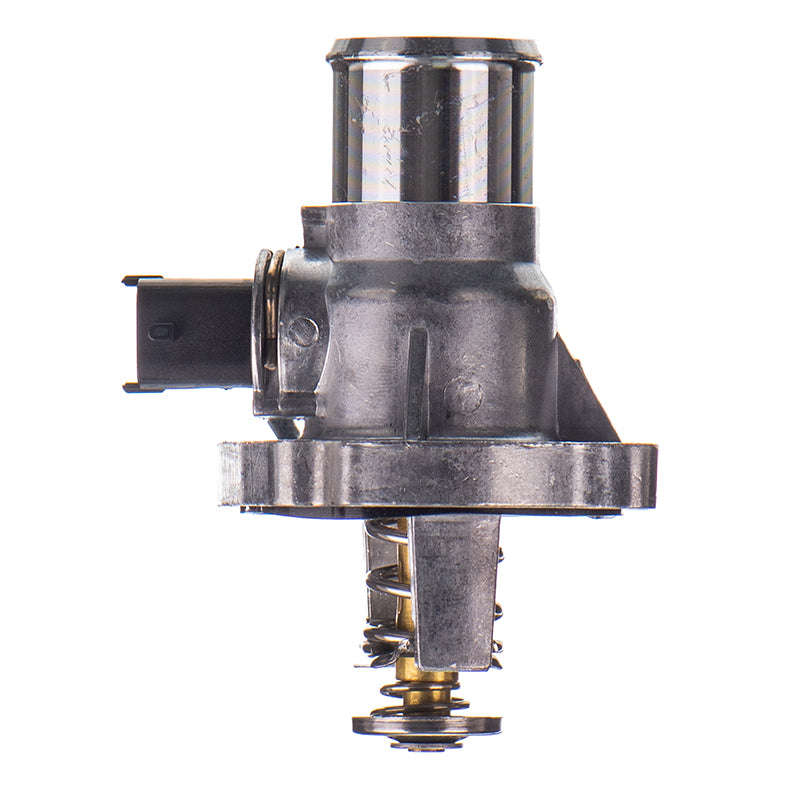Thermostat - Th099 (Doe)