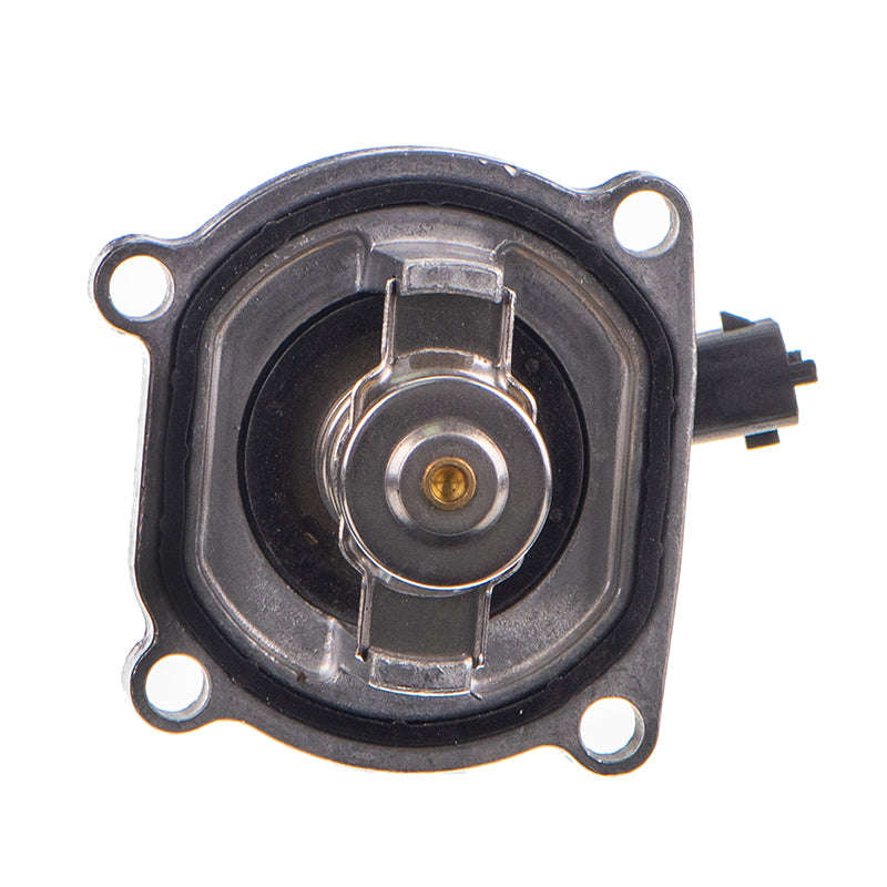 Thermostat - Th099 (Doe)