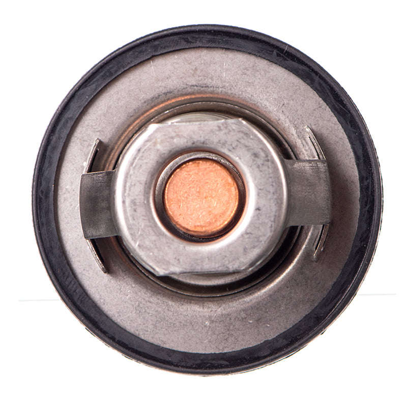 Thermostat - Ts5487 (Doe)