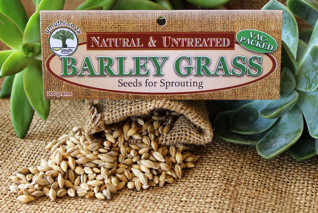BARLEY GRASS SEEDS - 200g Vac Pack