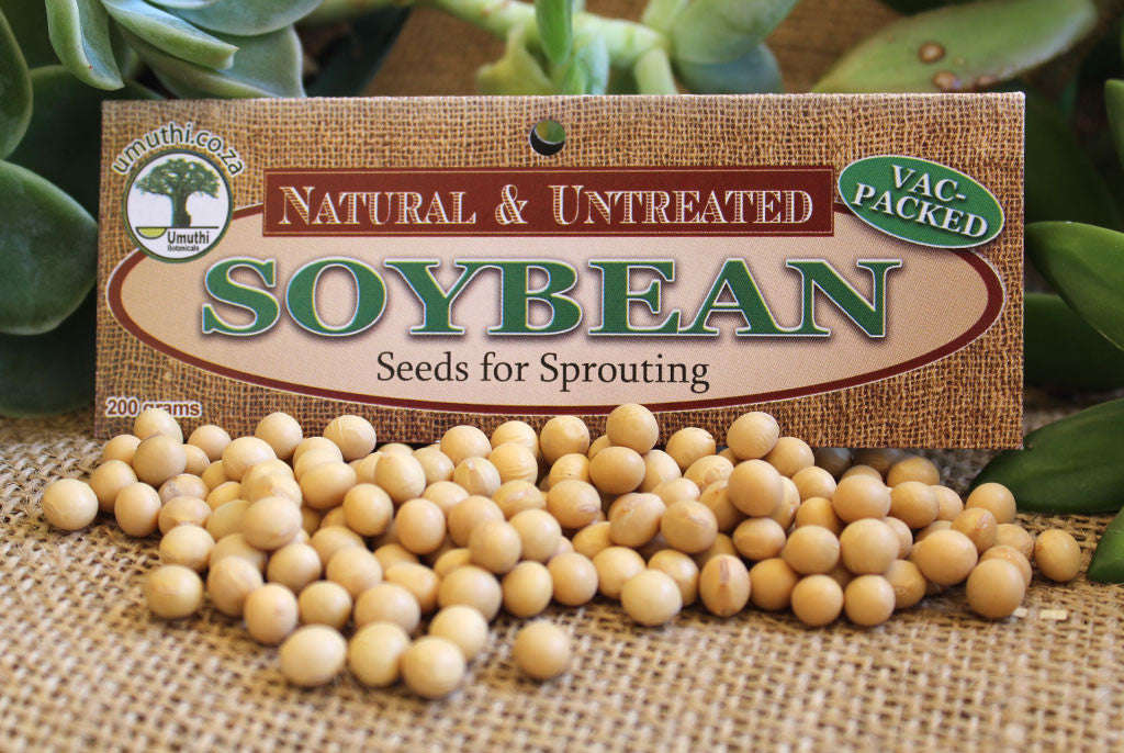 SOYA (SOY) BEANS - 200g Vac Pack