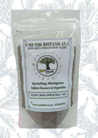 CELERY SEEDS - Apium Graveolens - Natural & Untreated -