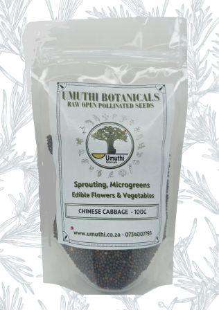 CHINESE CABBAGE SPROUTING SEEDS - Brassiica Rapa Subspecies Chinensis - Natural & Untreated