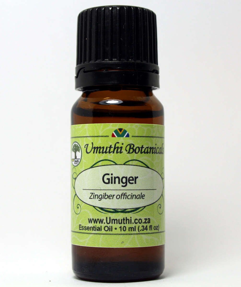 GINGER OIL - zingiber officinale - 100% Pure - 5ml
