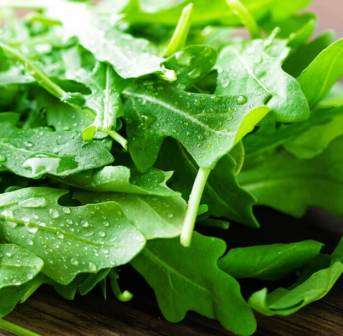 Rocket - Arugula - Approx 200 seeds - Raw Open Pollinated