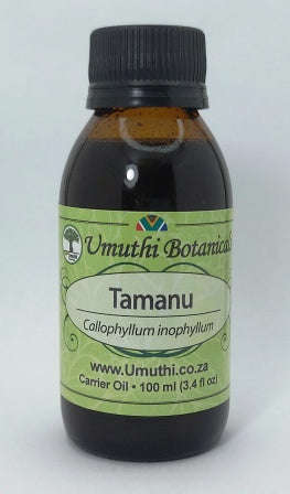 Tamanu Oil - Calophyllum inophyllum