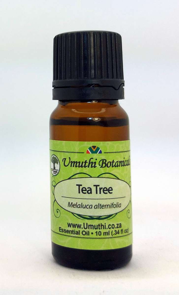 TEA TREE OIL (COMMON) - Melaluca alternifolia - 10ml