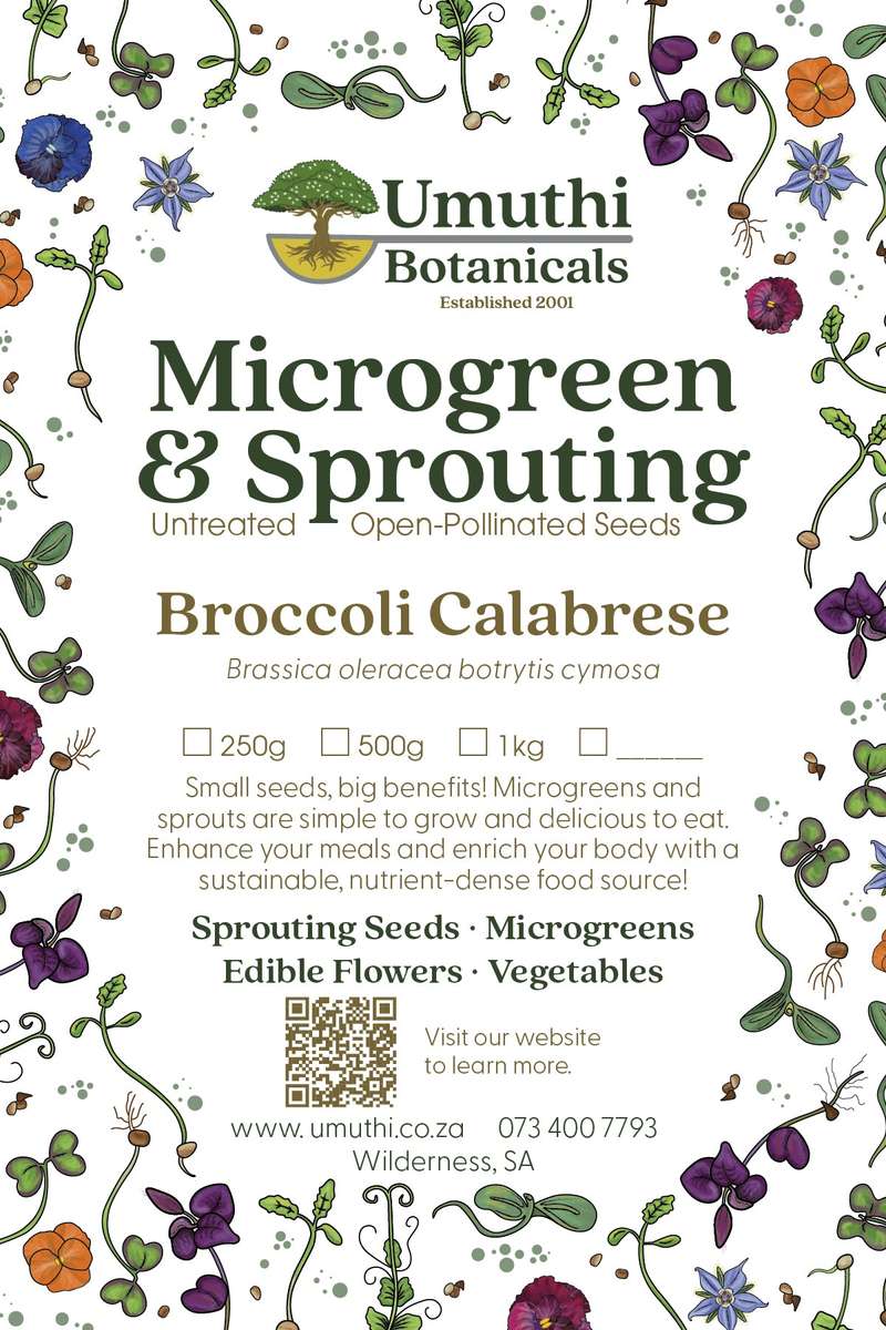 Broccoli Seed- Microgreen & Sprouting Seeds