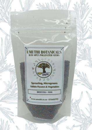 BROCCOLI SPROUTING SEEDS - Brassica Oleracea - Natural & Untreated