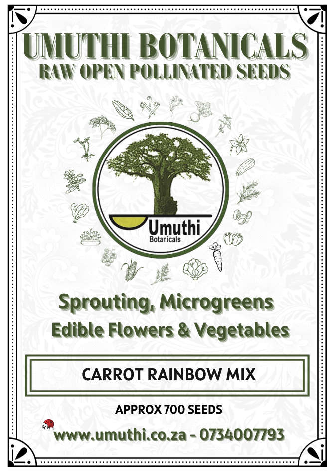Carrot Rainbow MIx- Approx 700 seeds - Raw Open Pollinated