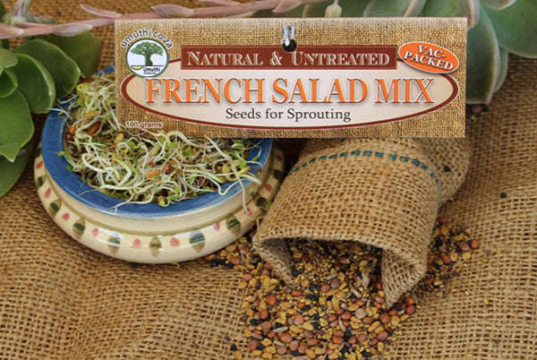 FRENCH SALAD BLEND - Sprouting Seeds - Natureal & Untreated - Microgreens - 500g