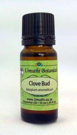 CLOVE BUD OIL - syzygium aromaticum -  100% Pure - 5ml