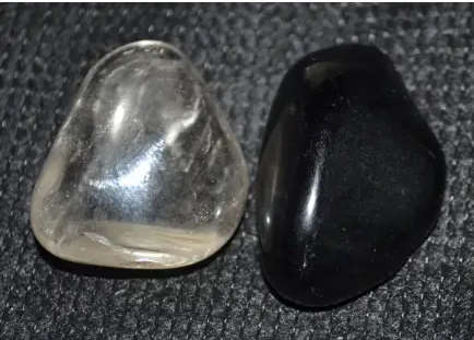 Star fossil flat excellent protection stone  Ancient fossils