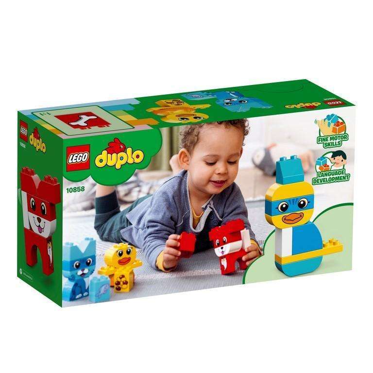 LEGO Duplo Combo