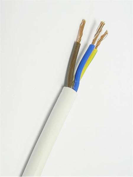 CUT LENGTHS CABTYRE 2.5MM X 3C WHITE 10M