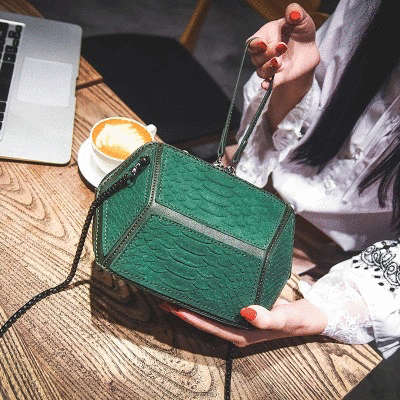 Fashion Shell Ladies Sling Bag