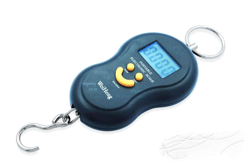Portable Electronic Scale Fishing Scale -40kg/10g