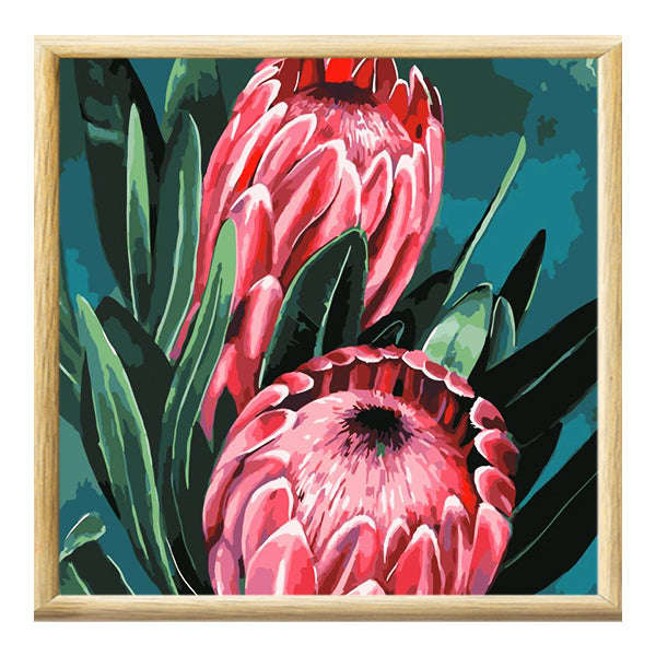 Adult Paint by Numbers with Frame - Protea Pair