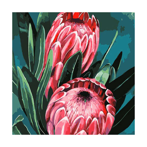 Adult Paint by Numbers with Frame - Protea Pair