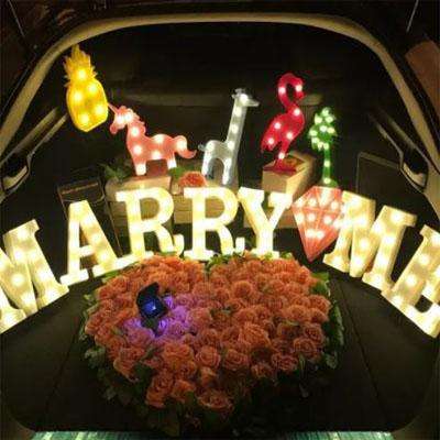 Alphabet Letter LED Light - R