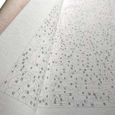 Adult Painting by Numbers - Tiger