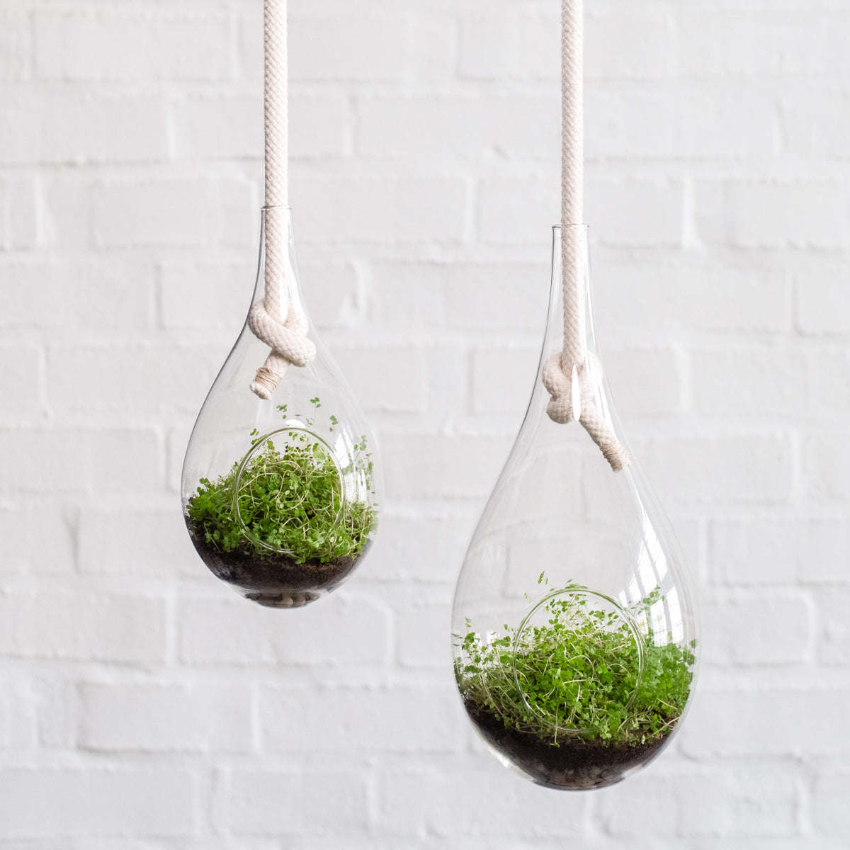 Raindrop Glass Hanging Planter - Medium - 32cm