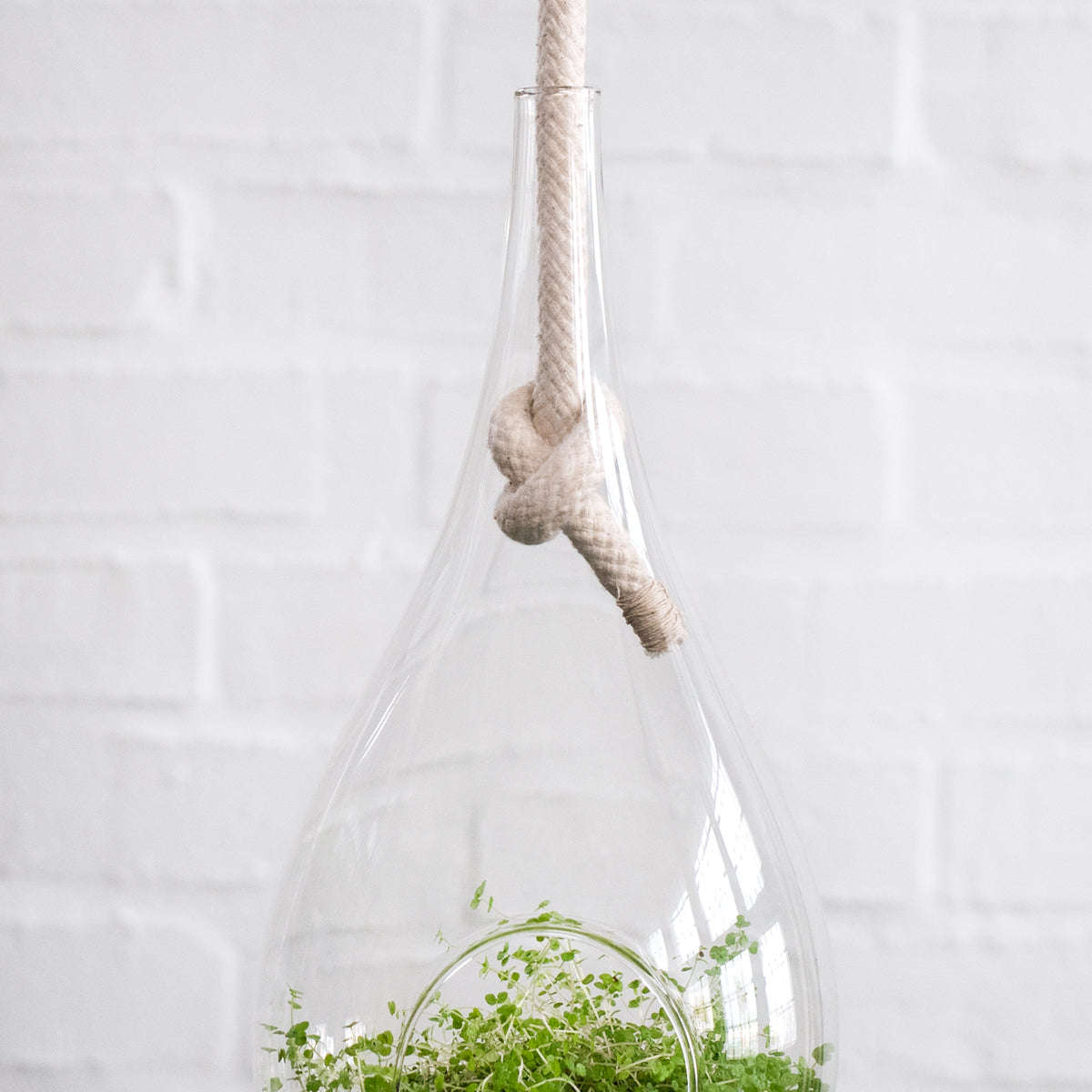 Raindrop Glass Hanging Planter - Small - 25cm