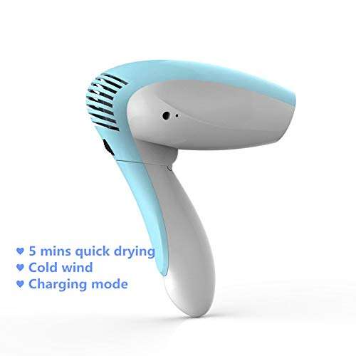Cordless Hair Dryer with Folding Handle, DC Hair Dryer Rechargeable Suitable for Indoor, Outdoor,...